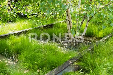 Tracks at Highline in New York Stock Photos