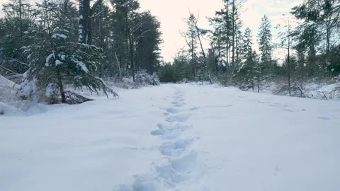 Tracks Meander Through Winter Silence, Imprints Trail Across Open Snowfield Stock Footage 327051181