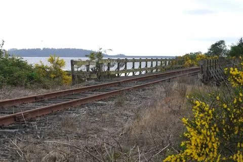 The tracks Stock Photos