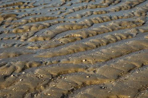 Tracks in sand, background, texture Stock Photos