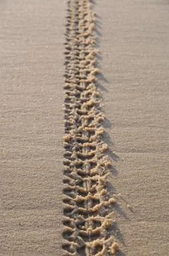 Tracks On Sand Stock Photos