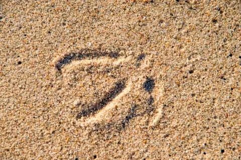 Tracks in sand Stock Photos