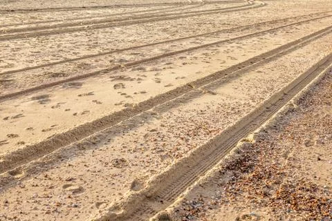 Tracks in the sand Stock Photos