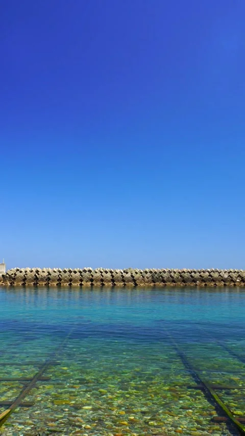 Tracks to the Sea Stock Footage 330976135