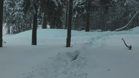 Tracks In The Snow Stockbeeldmateriaal 200830975