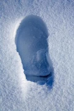 Tracks on snow Stock Photos