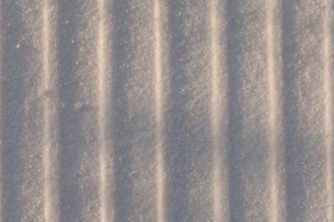 Tracks in the snow Photos