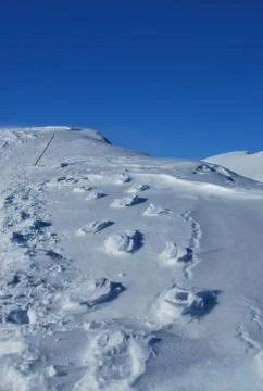 Tracks in the snow Stock Photos