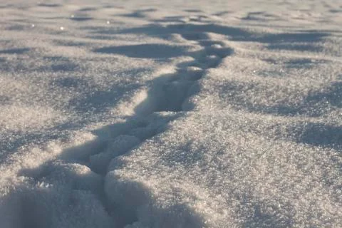 Tracks in the snow Stock Photos