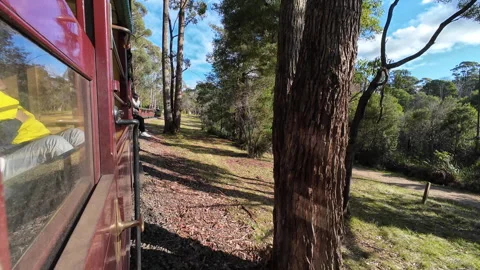Tracks through the Trees: A Puffing Billy Forest Expedition Video stock 276543761