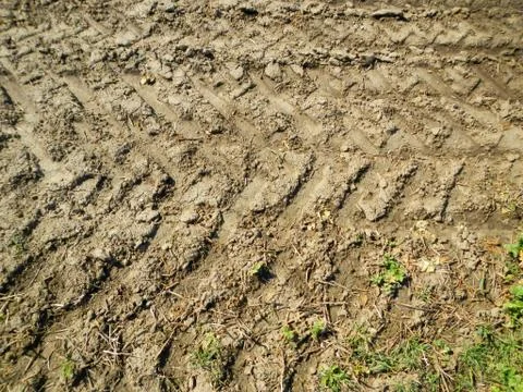 Tracks Of A Tractor In A Field, Mud, Trace, Detail Stock Photos