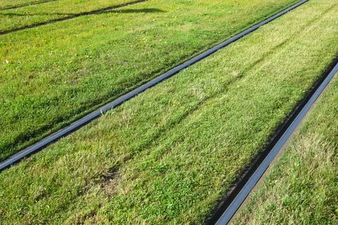 Tracks of a tram. Stock Photos