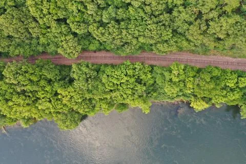 Tracks on White River Foto stock
