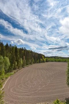 Tracktor tracks Stock Photos