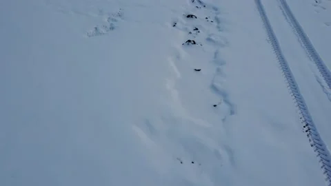 Tracktor tracks on pristine white snow on a field in the arctic circle wildernes Stock Footage 156488494