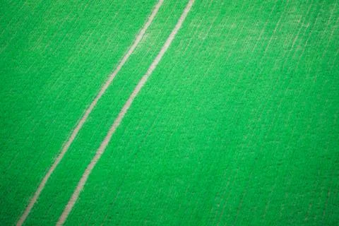 Tracktor Tracks Through Crops Stock-Fotos