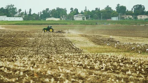 Tracto plows a corn field with a disk plow in the summer of southern Israel Stock Footage 93623216