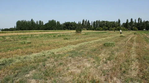 Tractor 5 스톡 동영상 854521