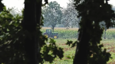 Tractor in action among the branches Stock-Footage 116612957