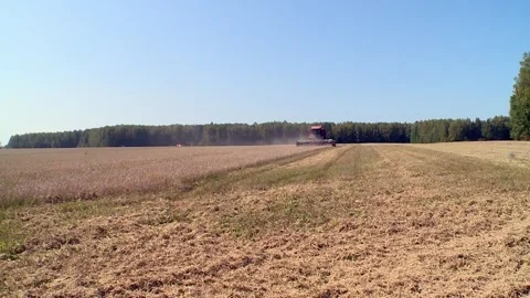 A Tractor is Actively Working in a Field During the Harvest Season for Crops and Stock Footage 299931536