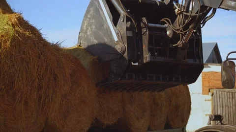 Tractor in agriculture, tractor workflow 스톡 동영상 347152050