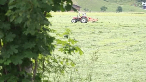 A tractor in an alpine meadow, a rake rakes the grass into rows for silage Stock Footage 158048225