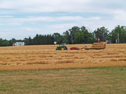 Tractor and Baler in a Field of Freshly Cut Wheat. Stock Photos