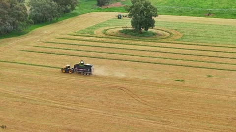 Tractor and bin working alongside a forage harvester Stock Footage 288805484