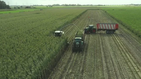 Tractor and chopper during the corn harvest Stock-Footage 163438307