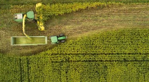 Tractor and chopper during the corn harvest Stock Photos