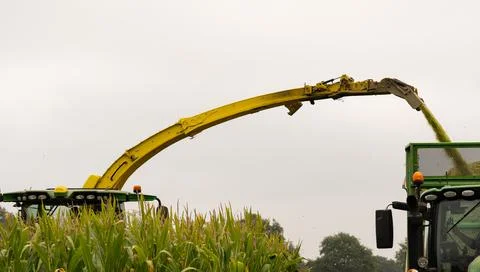 Tractor and chopper during the corn harvest Stock Photos