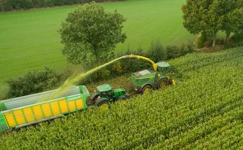 Tractor and chopper during the corn harvest Stock Photos