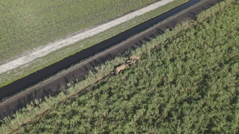 Tractor And Controlled Fire In Field Stock Footage 322023724