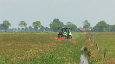 Tractor and cows Mowing grass 1 Stock Footage 12140601