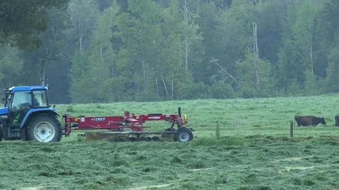 Tractor and grass rake gathering grass into rows to collect for making silage. Stock Footage 72342786