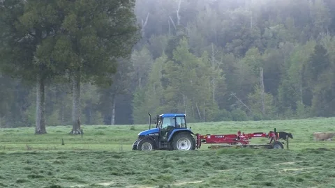Tractor and grass rake gathering grass into rows to collect for making silage. Stock Footage 72347256
