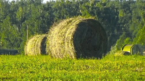 Tractor and hay stacks Video stock 96051052