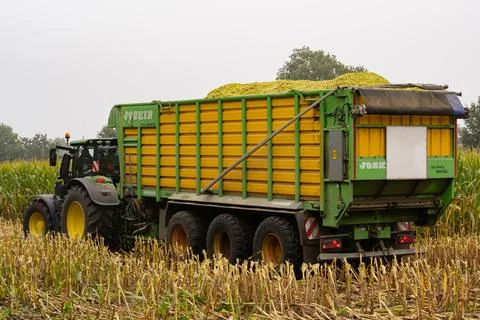 Tractor and maize chopper during the maize harvest Stock Photos