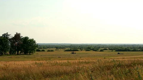 Tractor and the people on the field Stock Footage 95010603