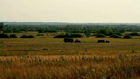 Tractor and the people on the field Stock Footage 98098601