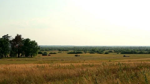 Tractor and the people on the field Stock Footage 98553505