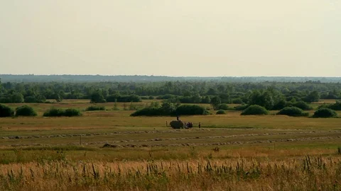 Tractor and the people on the field Stock Footage 98755933