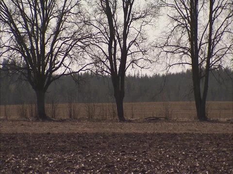 Tractor and trailer Stock Footage 2334897