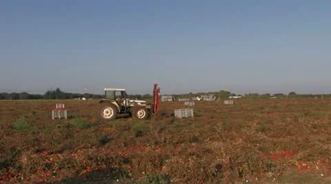 Tractor and workers on a field Stock Footage 12732420