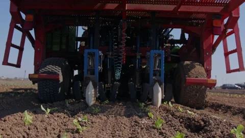 Tractor with an automatic planting machine planting lettuce in an agricultural Stock Footage 163516113