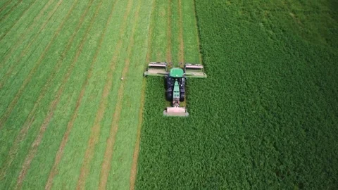 Tractor with autopilot, navigation system mows grass, alfalfa for animal feed Stock Footage 314060194