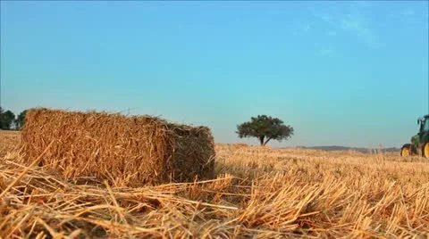 Tractor baler machine in the wheat field Stock Footage 12661530