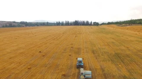 Tractor Baler Making Straw Bales In Stubble Field Stock Footage 55291633