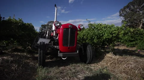 Tractor in a Beautiful Vineyard 스톡 동영상 48048768