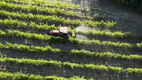 Tractor between rows of vineyards. Tractor movement in the rows of vineyards 動画素材 156893960